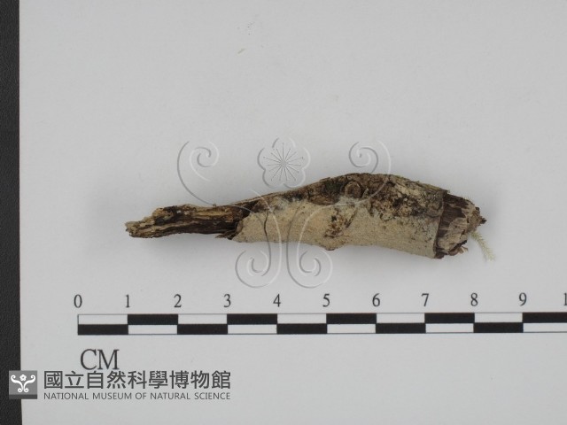 登錄號:F0001518藏品圖，第3張