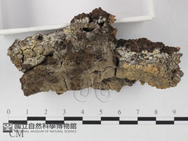 登錄號:F0025518藏品圖，第3張