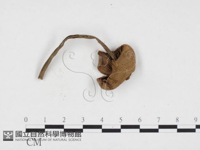 登錄號:F0024118藏品圖，第3張