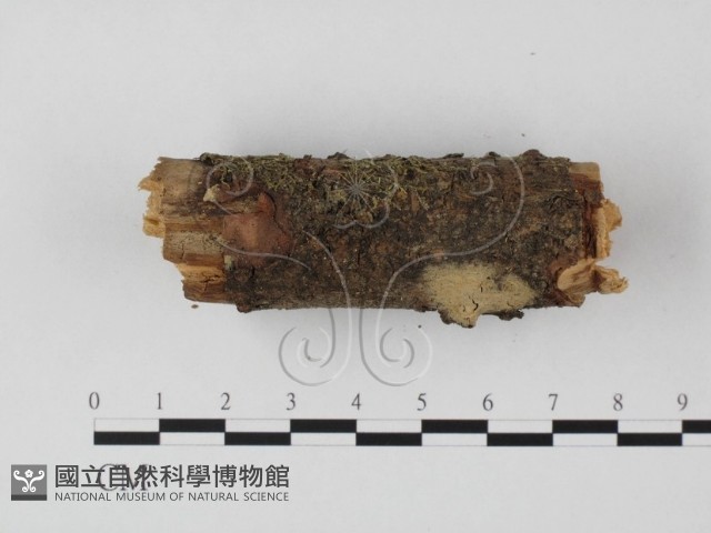 登錄號:F0022118藏品圖，第3張