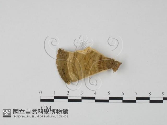登錄號:F0006318藏品圖，第3張