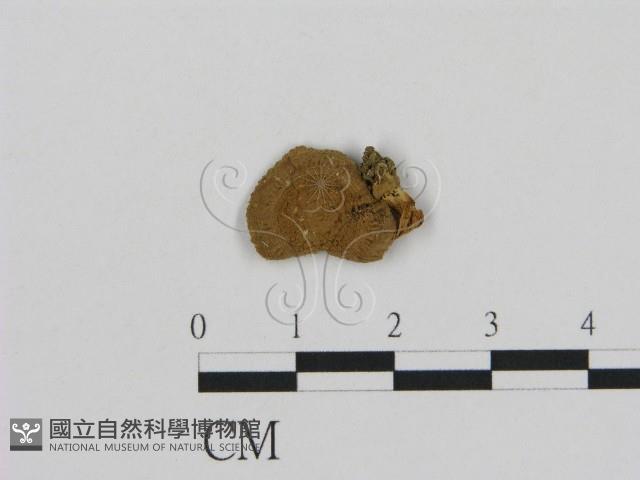 登錄號:F0002258藏品圖，第3張