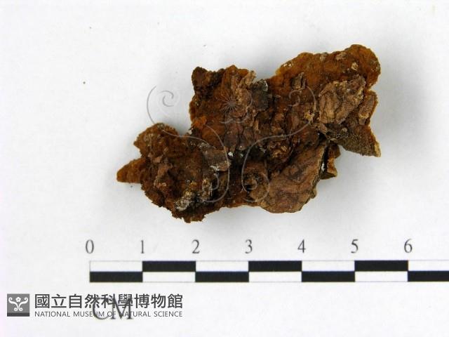 登錄號:F0005858藏品圖，第3張