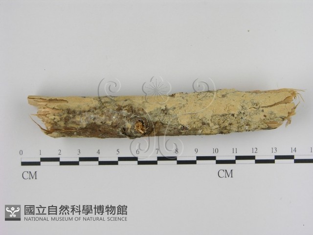 登錄號:F0002958藏品圖，第3張