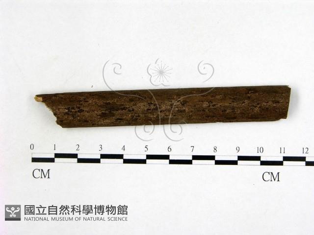 登錄號:F0019958藏品圖，第3張