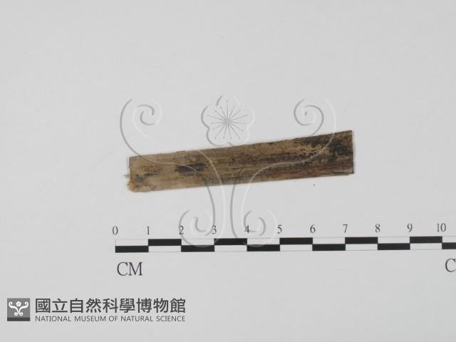 登錄號:F0011658藏品圖，第3張