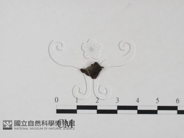 登錄號:F0019658藏品圖，第3張