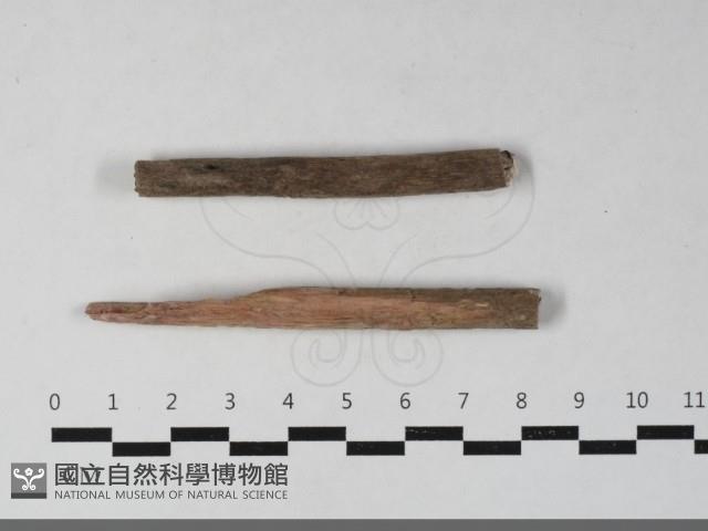 登錄號:F0033658藏品圖，第3張