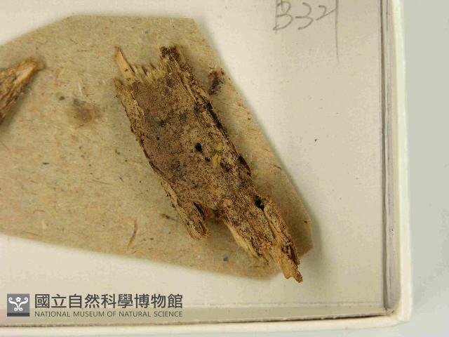登錄號:F0021458藏品圖，第3張