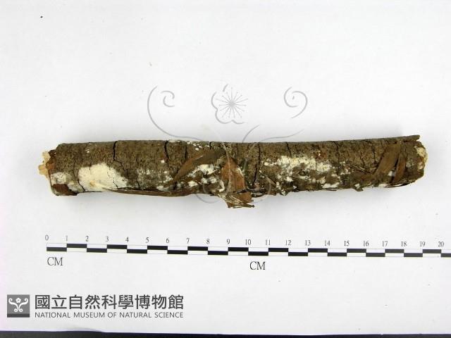 登錄號:F0001458藏品圖，第3張