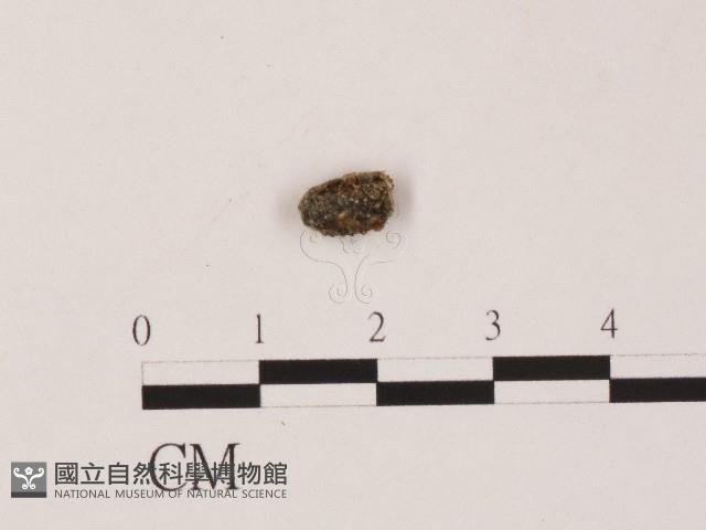 登錄號:F0004458藏品圖，第3張