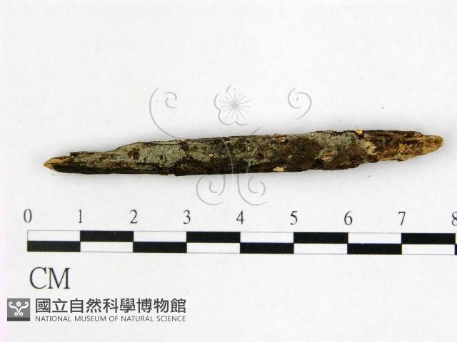 登錄號:F0022458藏品圖，第3張