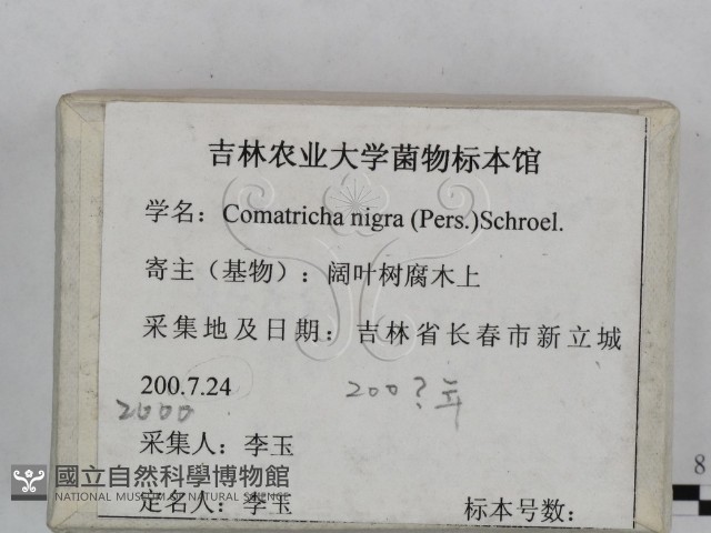 登錄號:F0023458藏品圖，第3張