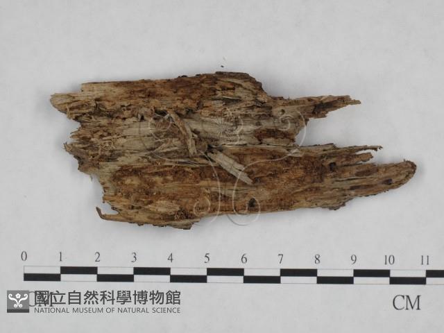 登錄號:F0020758藏品圖，第3張