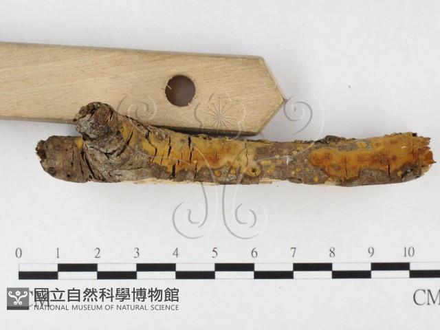 登錄號:F0026758藏品圖，第3張