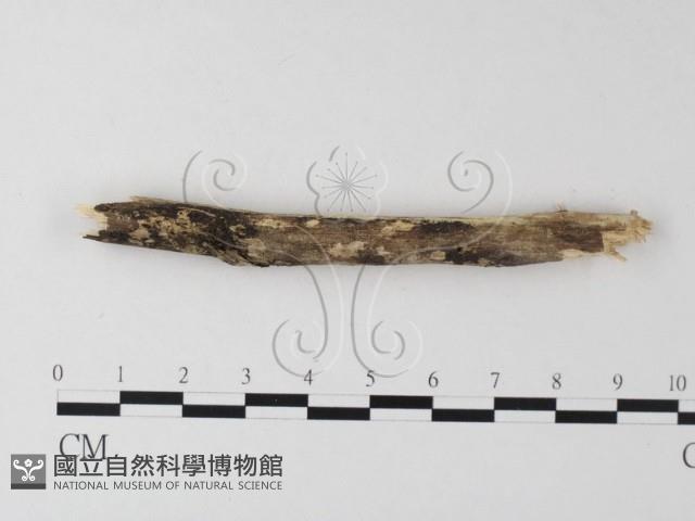 登錄號:F0021758藏品圖，第3張