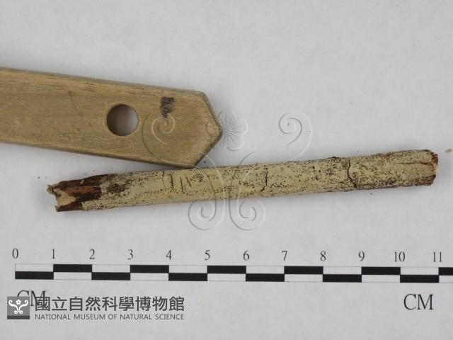 登錄號:F0024758藏品圖，第3張