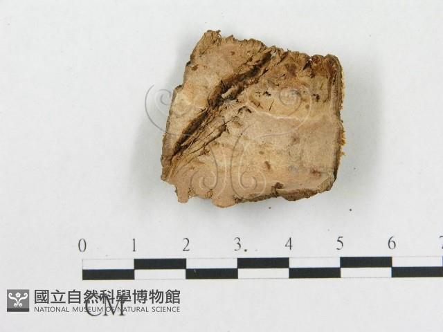 登錄號:F0002758藏品圖，第3張