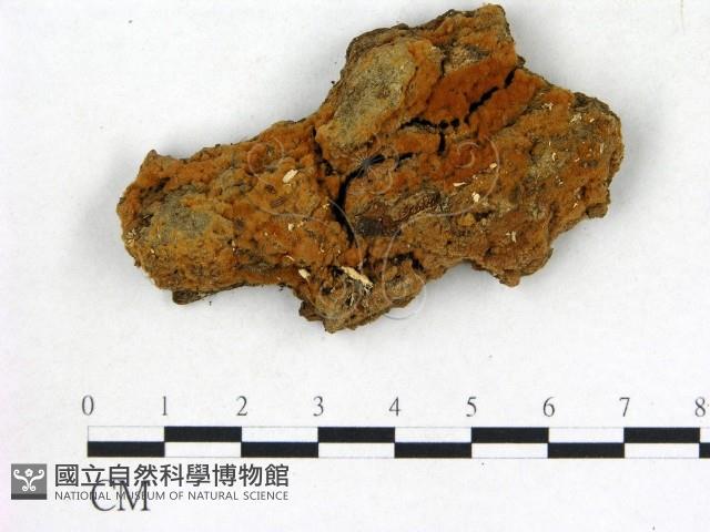 登錄號:F0015758藏品圖，第3張