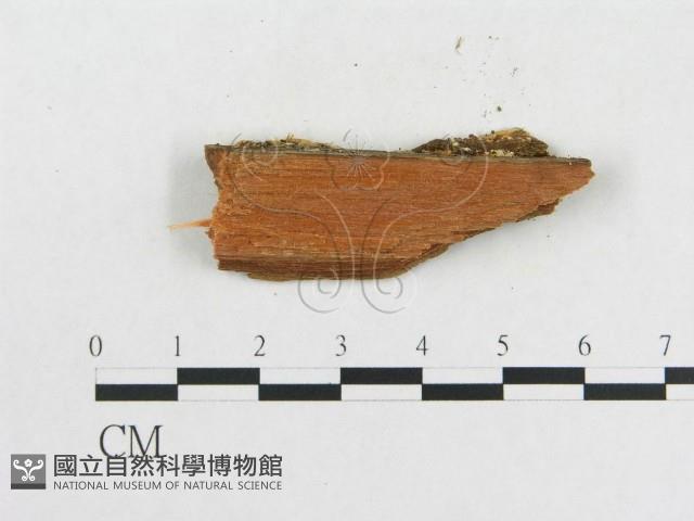 登錄號:F0006558藏品圖，第3張