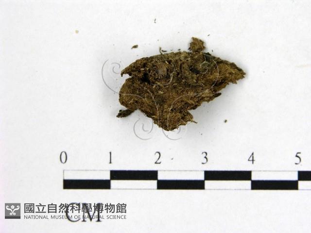 登錄號:F0000158藏品圖，第3張