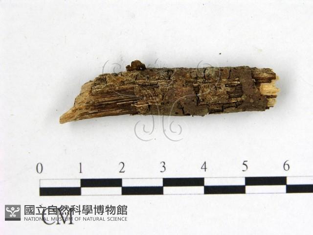 登錄號:F0001158藏品圖，第3張