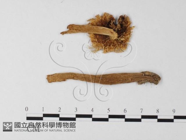登錄號:F0013158藏品圖，第3張