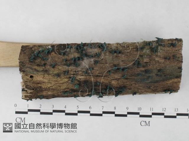 登錄號:F0024058藏品圖，第3張