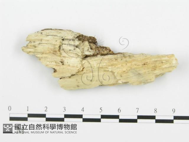 登錄號:F0006358藏品圖，第3張