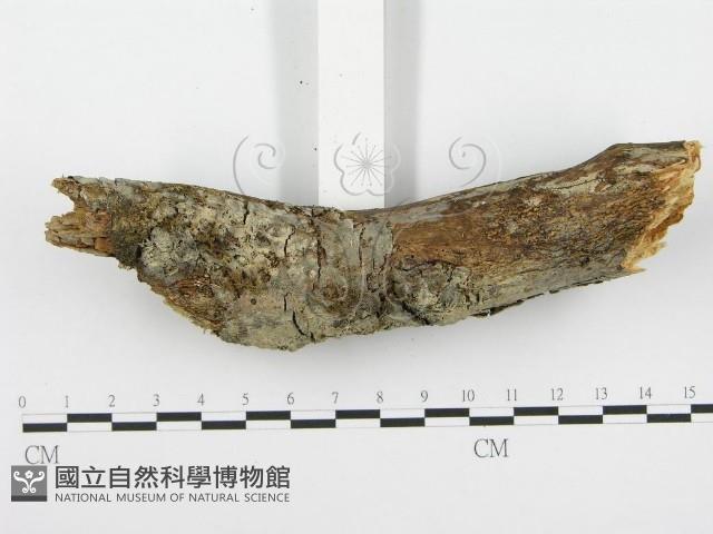 登錄號:F0001358藏品圖，第3張