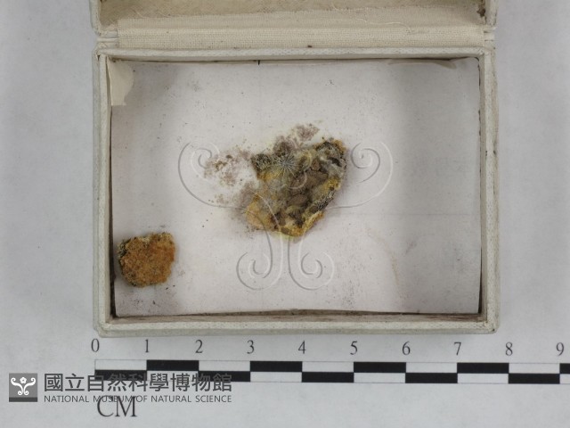 登錄號:F0023248藏品圖，第3張