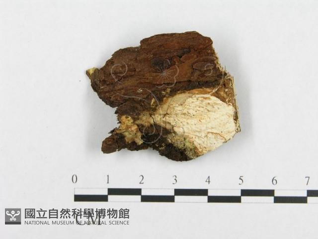 登錄號:F0000948藏品圖，第3張