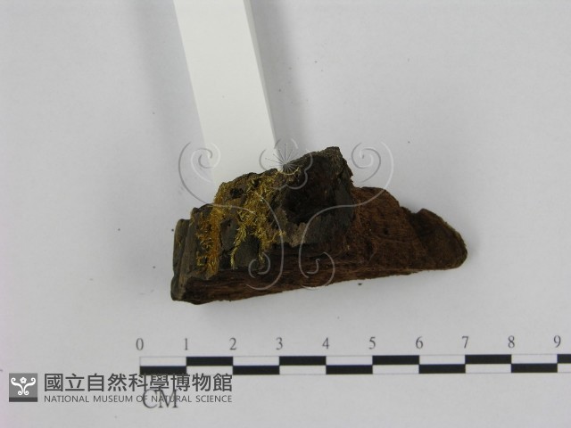 登錄號:F0006948藏品圖，第3張