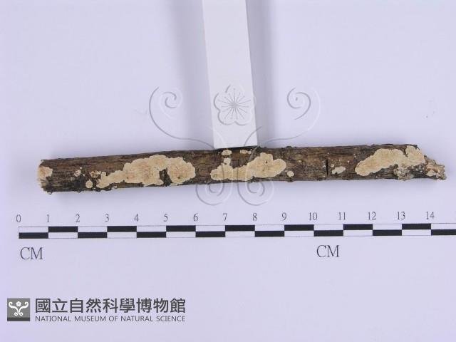 登錄號:F0002948藏品圖，第3張