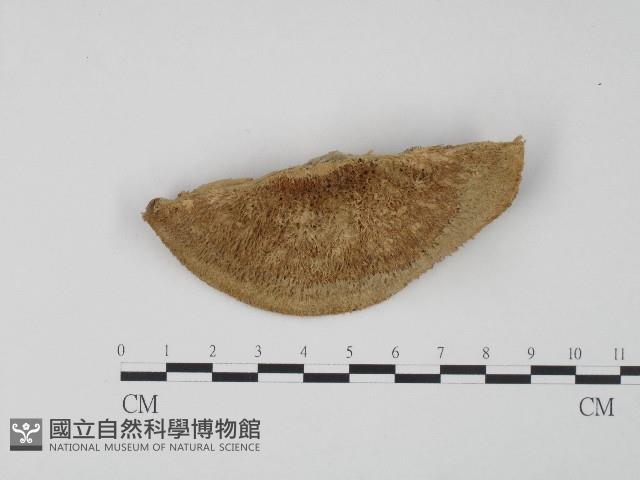 登錄號:F0004648藏品圖，第3張