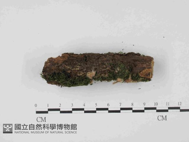 登錄號:F0014648藏品圖，第3張