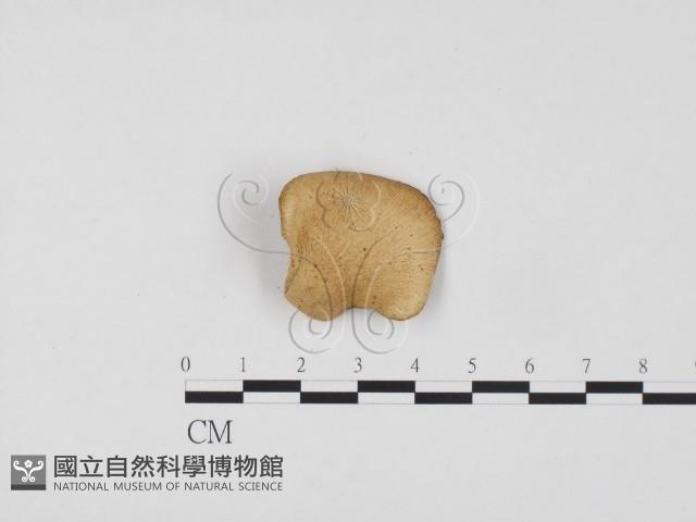 登錄號:F0012648藏品圖，第3張