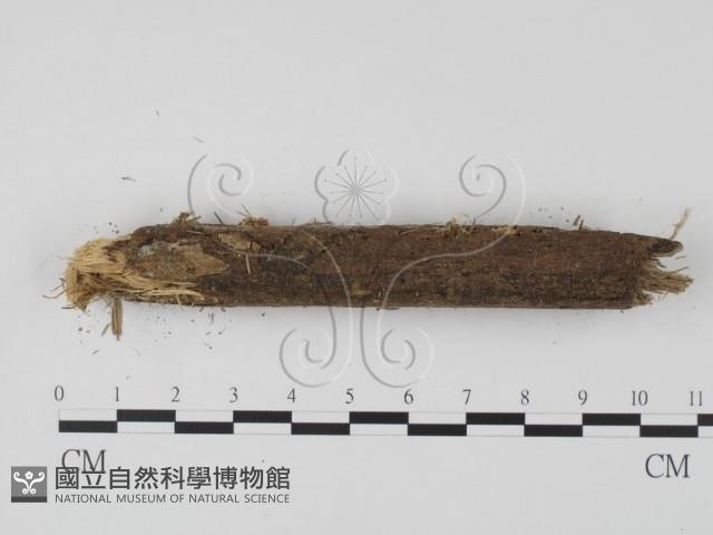 登錄號:F0001448藏品圖，第3張