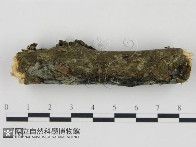 登錄號:F0018748藏品圖，第3張