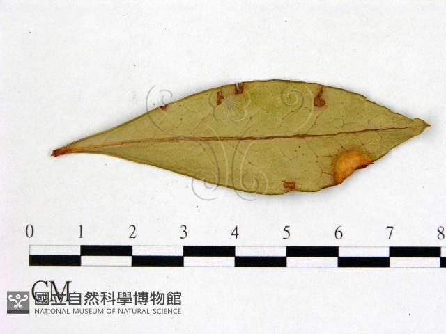 登錄號:F0020748藏品圖，第3張