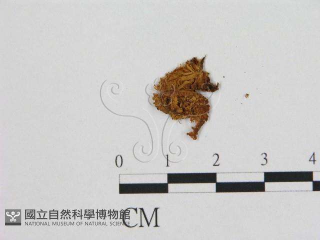 登錄號:F0001748藏品圖，第3張