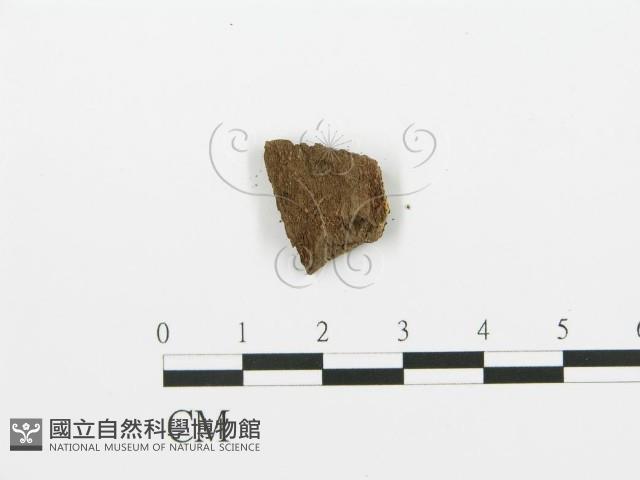 登錄號:F0017748藏品圖，第3張