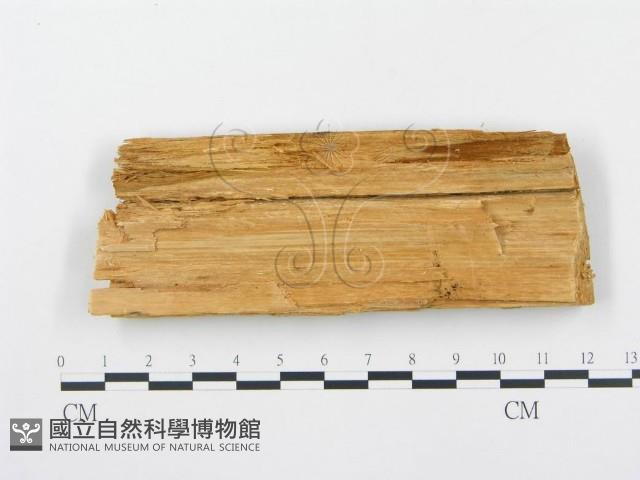 登錄號:F0005748藏品圖，第3張