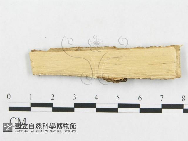 登錄號:F0013748藏品圖，第3張