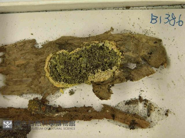 登錄號:F0021548藏品圖，第3張