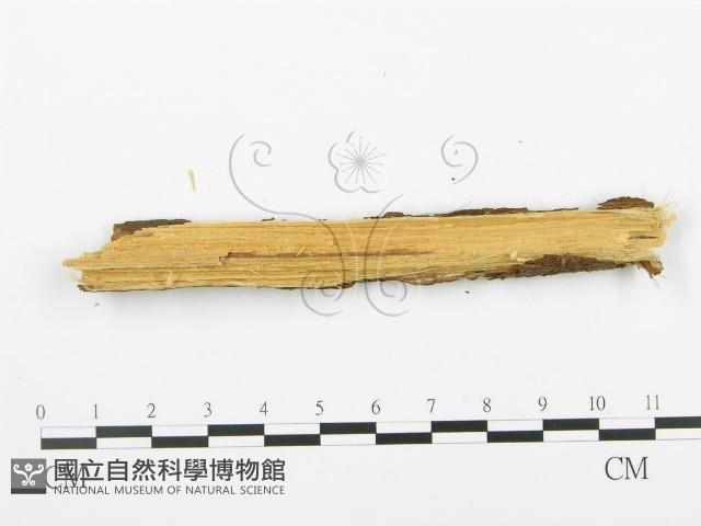 登錄號:F0002548藏品圖，第3張