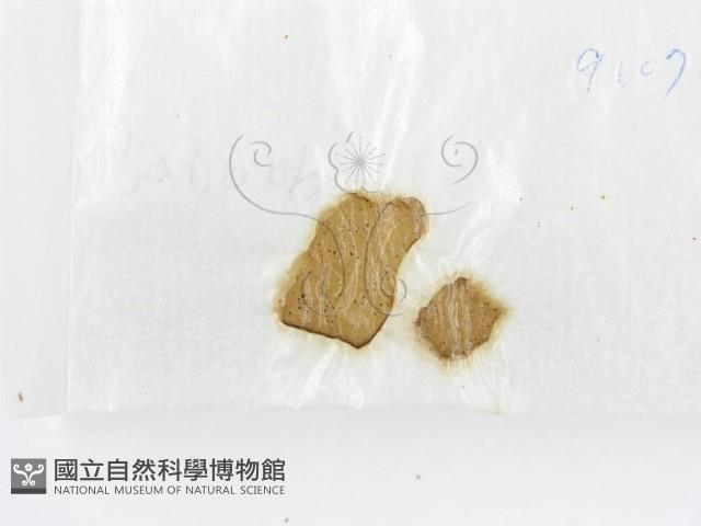 登錄號:F0015548藏品圖，第3張