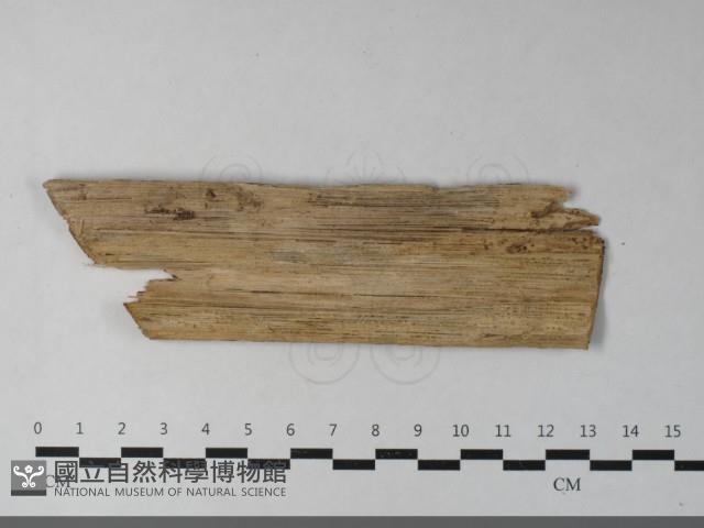 登錄號:F0033548藏品圖，第3張