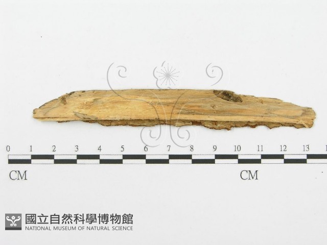 登錄號:F0014148藏品圖，第3張
