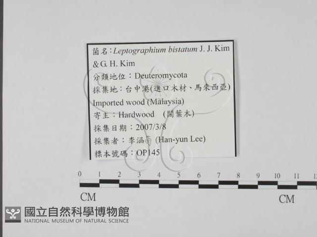 登錄號:F0022148藏品圖，第3張